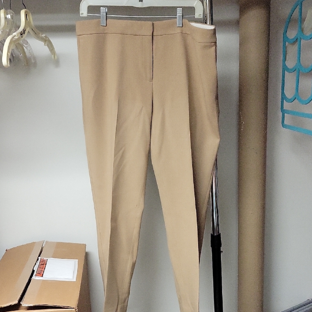 Ann Taylor Beige Trousers
